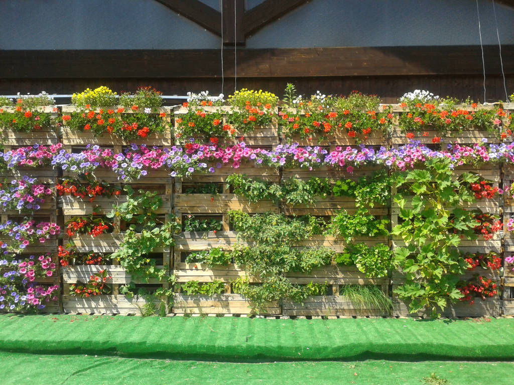Anche io – varesenews in festa » impariamo a realizzare un orto ... Come realizzare un giardino verticale